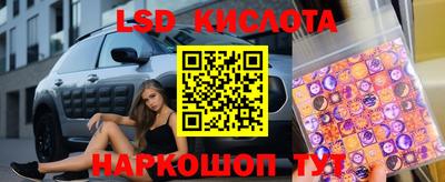 стафф Брянск
