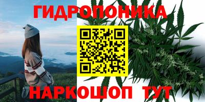стафф Брянск