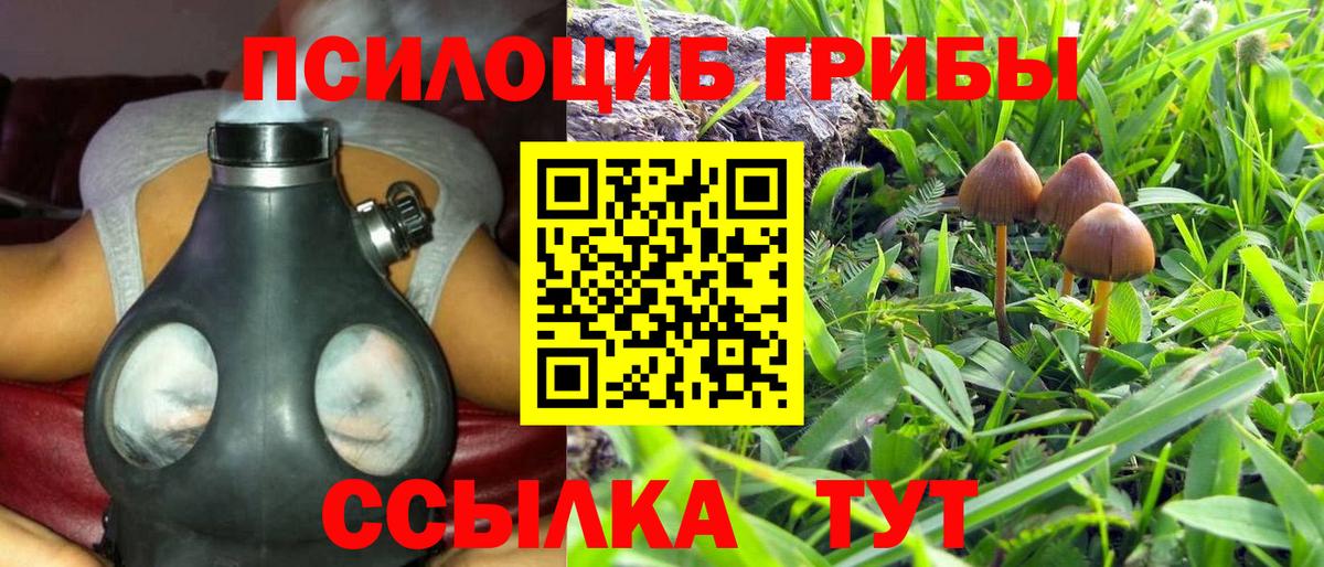 Дербент  Псилоцибиновые грибы Psilocybe  продажа наркотиков  Галлюциногенные грибы мицелий  Вход с VPN 