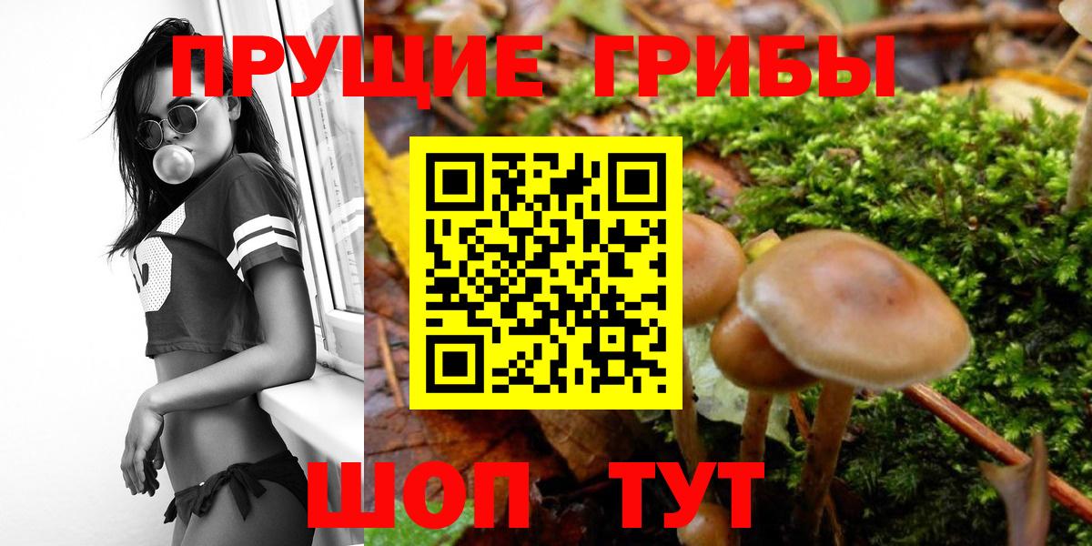 Псилоцибиновые грибы ЛСД Дербент